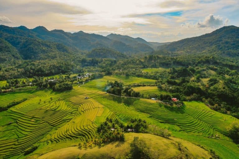 cadapdapan rice terraces candijay bohol 0546DJI 0546